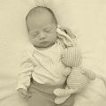 FF01_Miklosi_Greta_Laura_2015-11-24_11