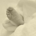 FF01_Miklosi_Greta_Laura_2015-11-24_17