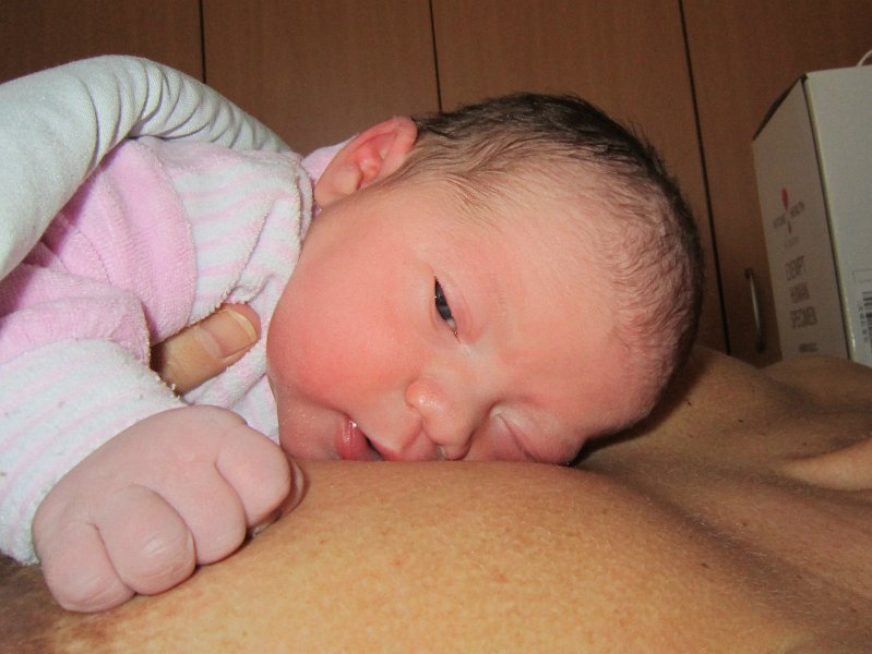 IMG_0017_r.jpg