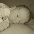 IMG_0017_r