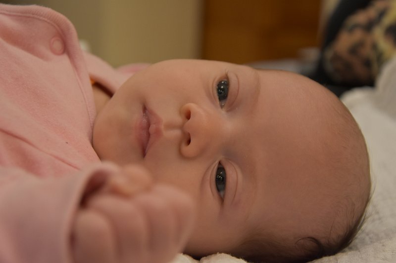 DSC_1358.JPG