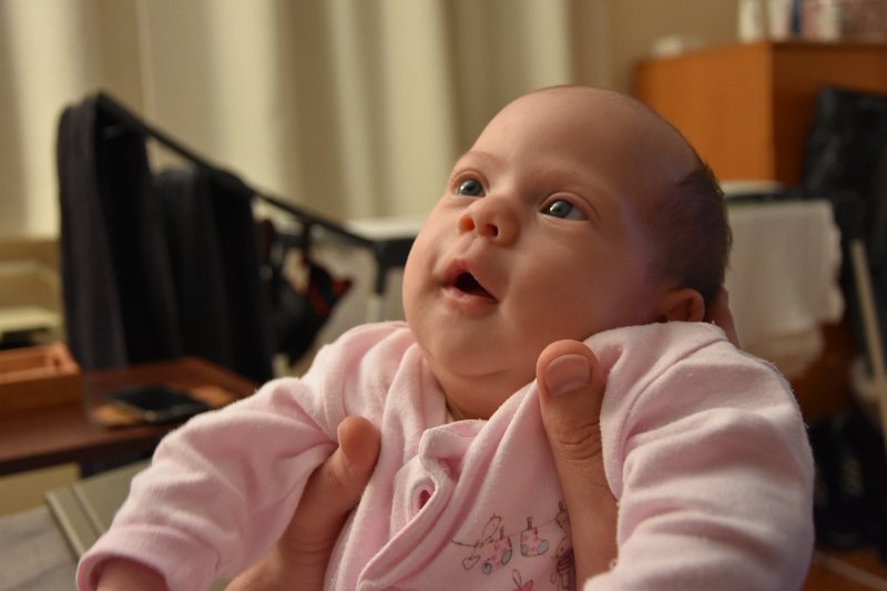 DSC_1517.JPG