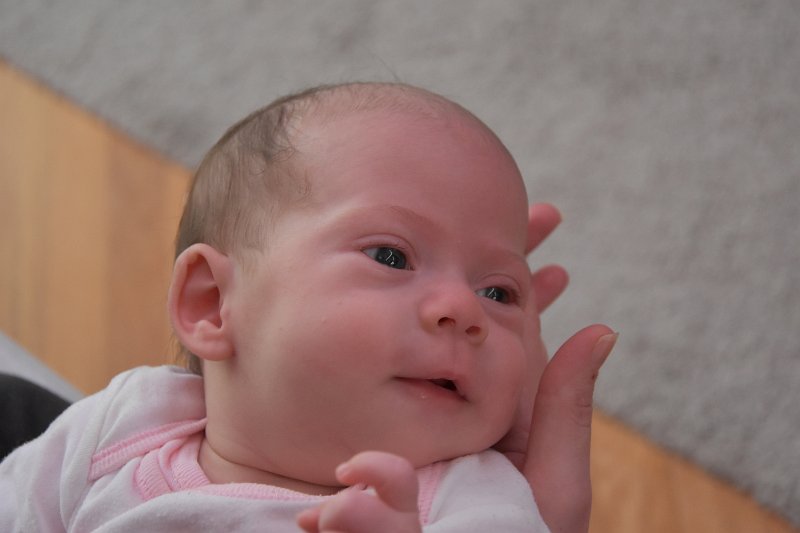 DSC_1637.JPG