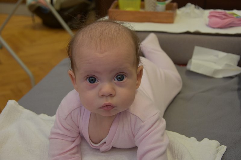 DSC_2601.JPG