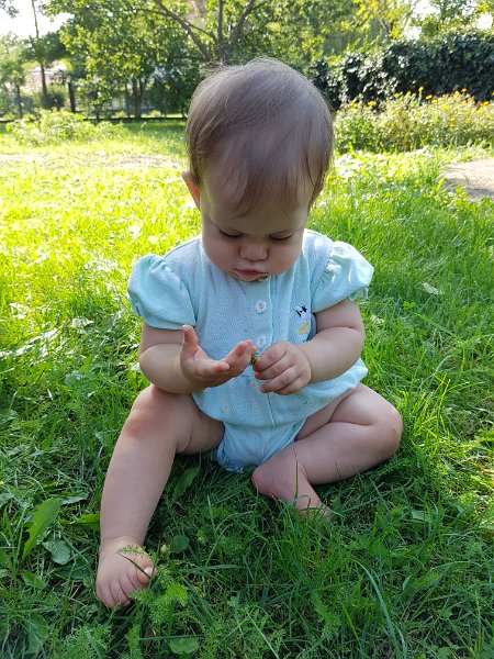 20160911_150037.jpg